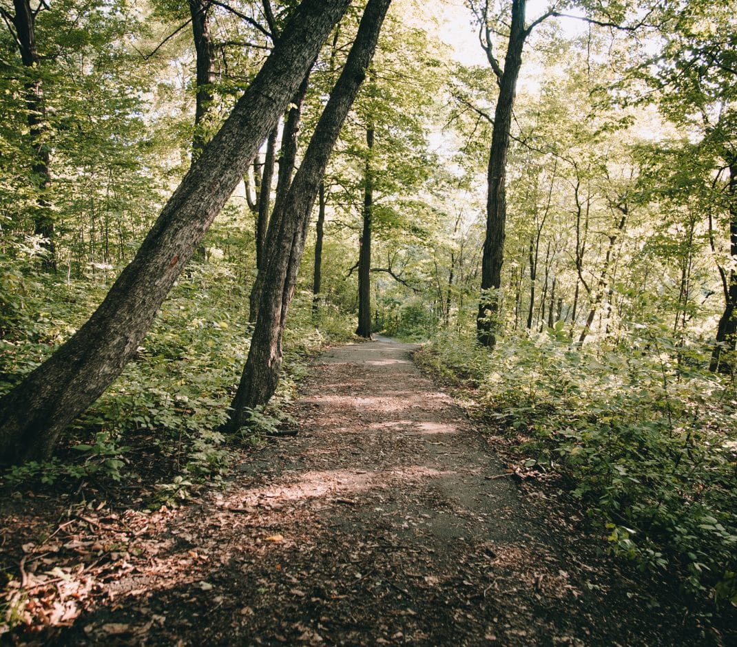 jamshed-khedri-qazeuk4nc-4-unsplash