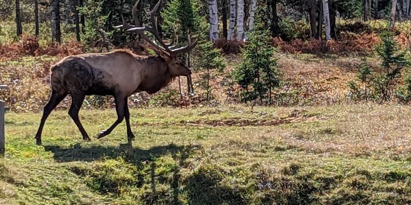 281422344_663837291966638_5161156466319251823_n