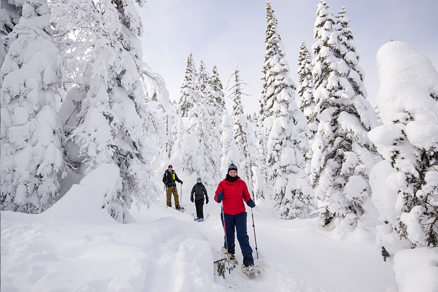 Raquette aux Monts-Valins